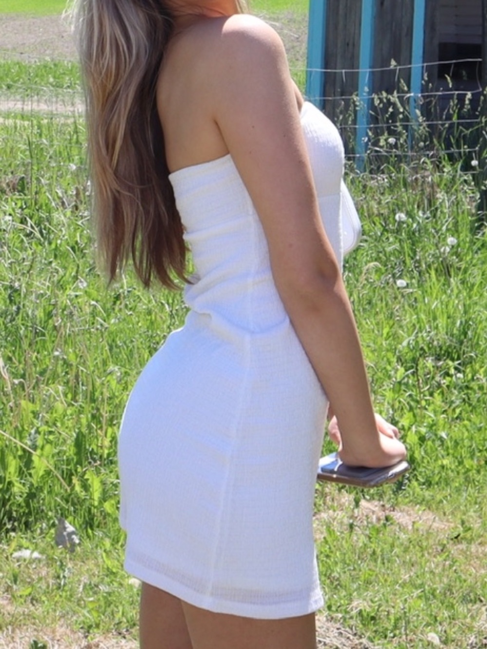 Wilfred Attention Dress